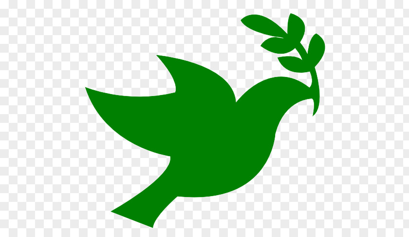 Columbidae International Day Of Peace Doves As Symbols Clip Art PNG