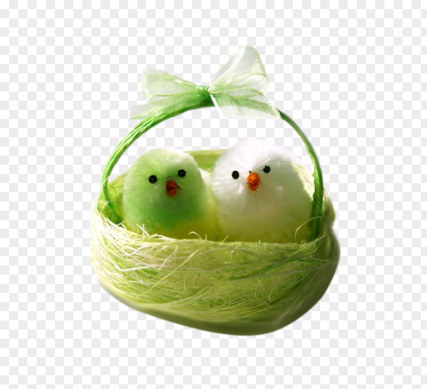 Creative Basket Chick Easter Download PNG