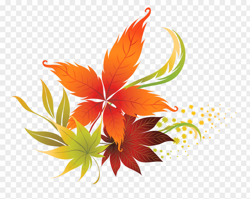 Fall Leaves Decor Clipart Picture Autumn Leaf Color Clip Art PNG