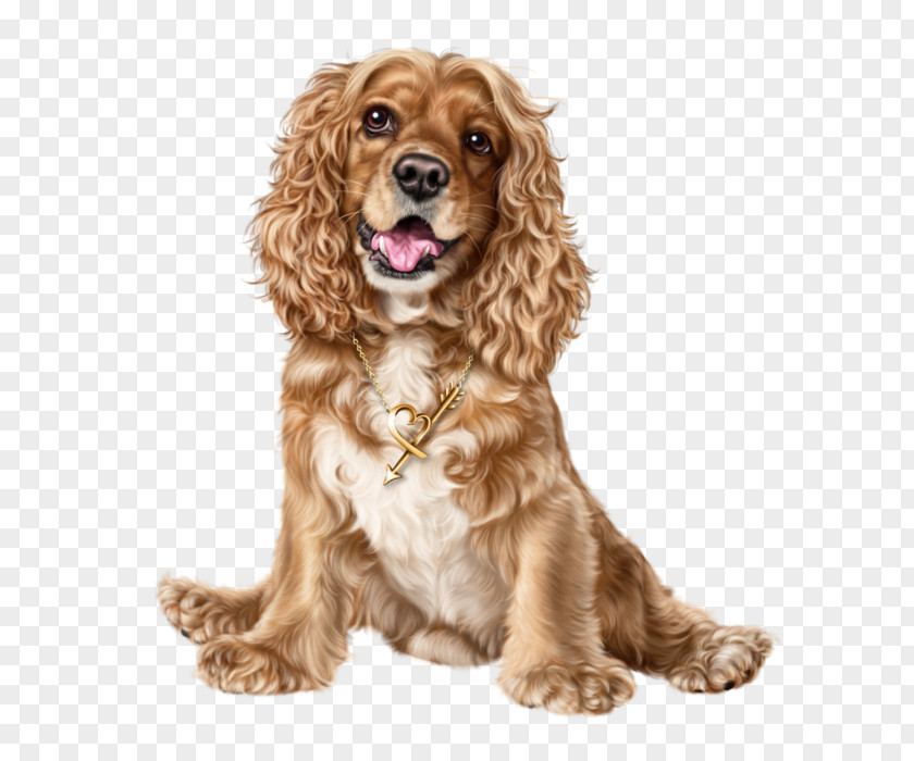 FCB English Cocker Spaniel American Puppy PNG