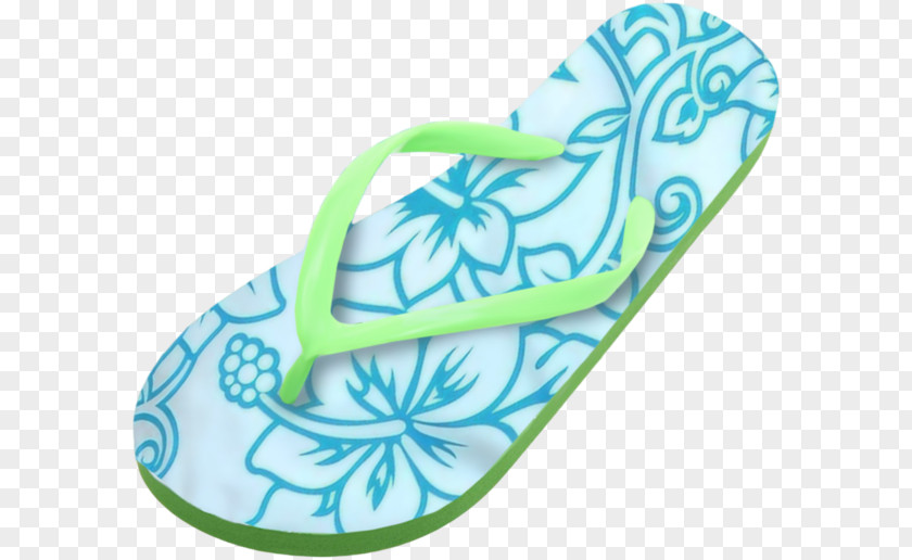 Summer Shoes Flip-flops Slipper Shoe PNG