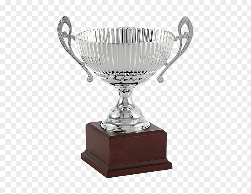 Trophy Silver Cup Medal Glass PNG