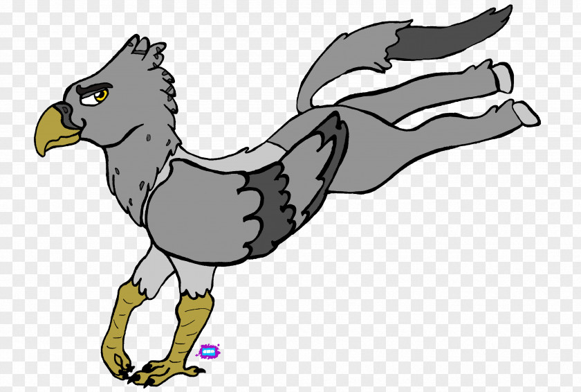Feather Bird Horse Chicken Clip Art PNG