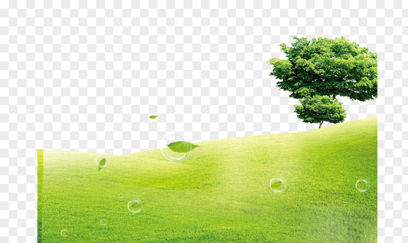 Green Grass Background Lawn U5ba4u5167u7a7au6c23u6c61u67d3 Formaldehyde PNG