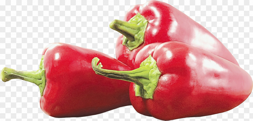 Ingredient Poblano Vegetable Cartoon PNG