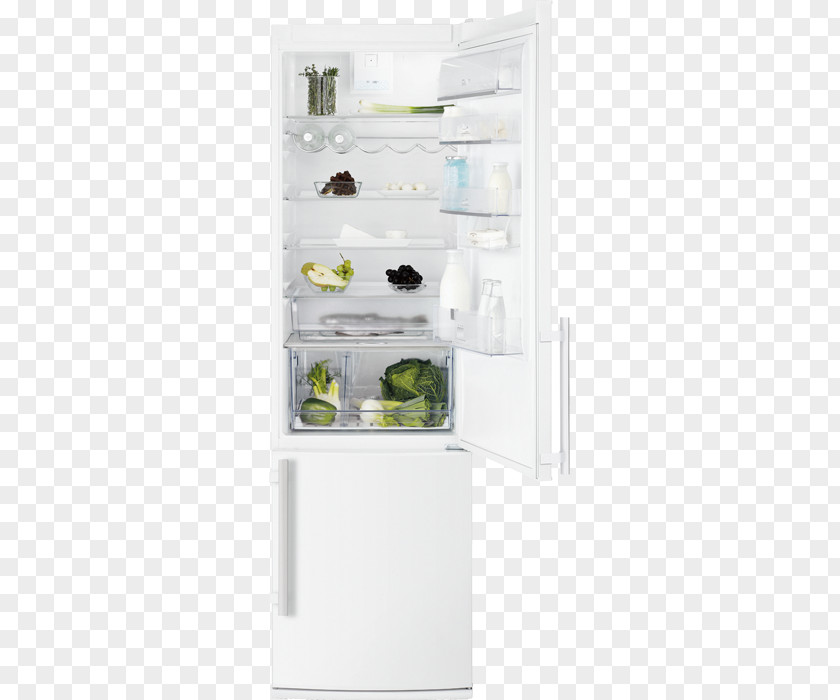 Refrigerator Electrolux EN3487AOO Fridge Freezer Frost Free 239+78Litres Brown Home Appliance Zaporizhia PNG
