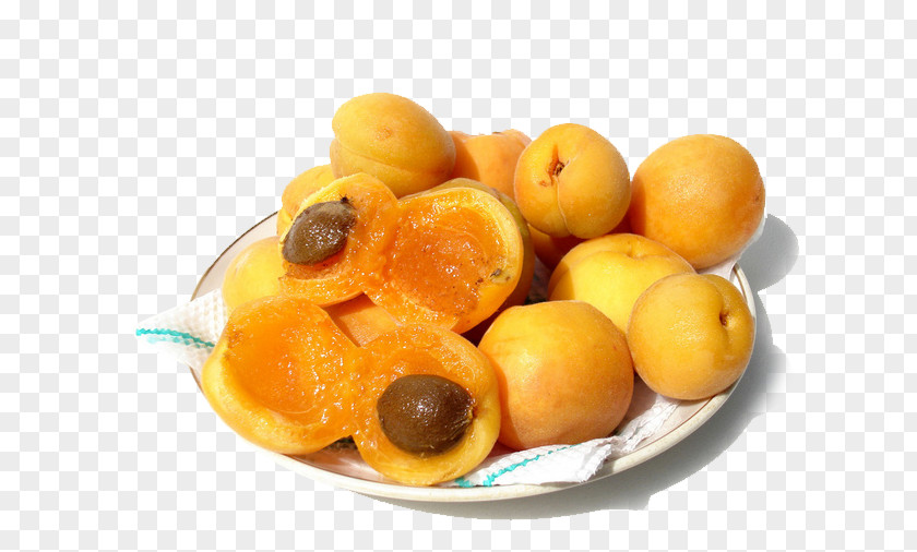 Apricots Apricot Kernel Fruit Food Almond PNG