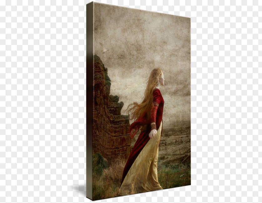 Canvas Wall Gallery Wrap Art Stock Photography PNG
