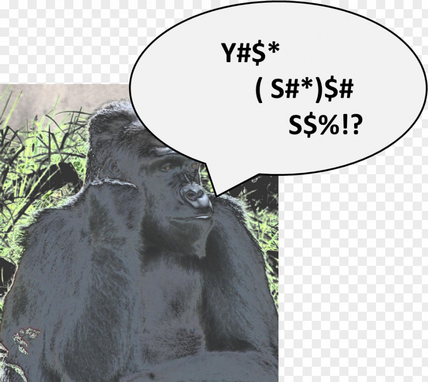 Gorilla Wildlife Eye Snout Fad PNG