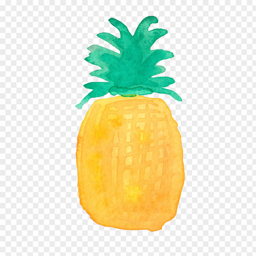 Pineapple Drawing Watercolor Painting PNG