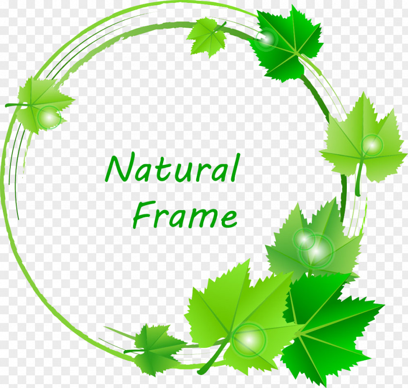 Tree Leaves Ring Leaf Green Euclidean Vector PNG