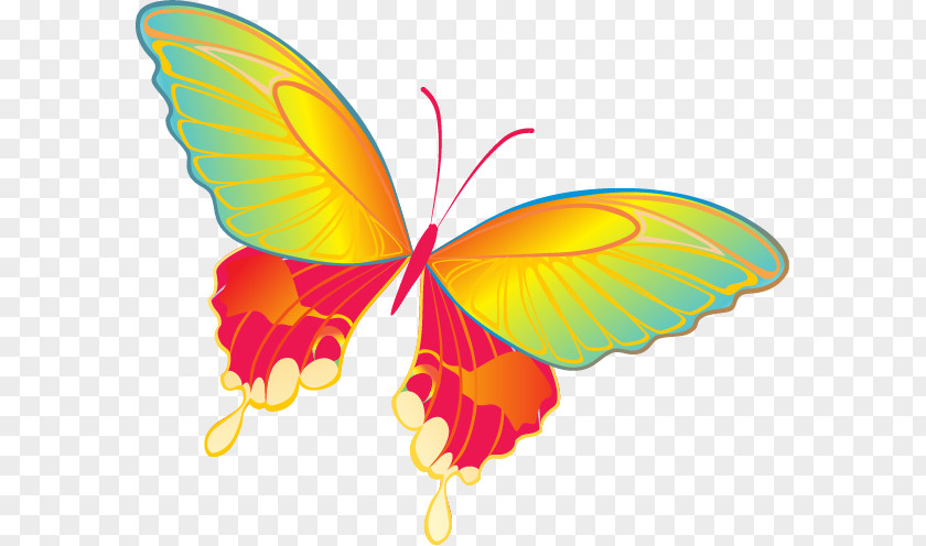 Butterflies Cartoon Butterfly Clipart Vector Graphics Clip Art Insect Free Content PNG