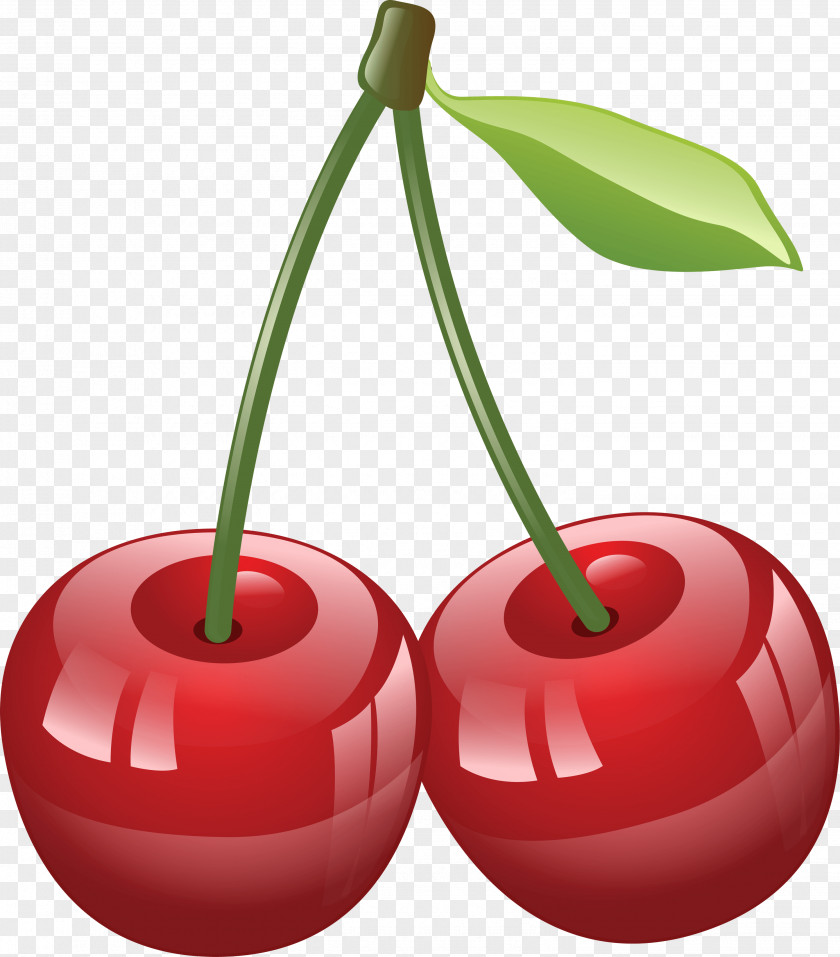 Cherry Image Download PNG