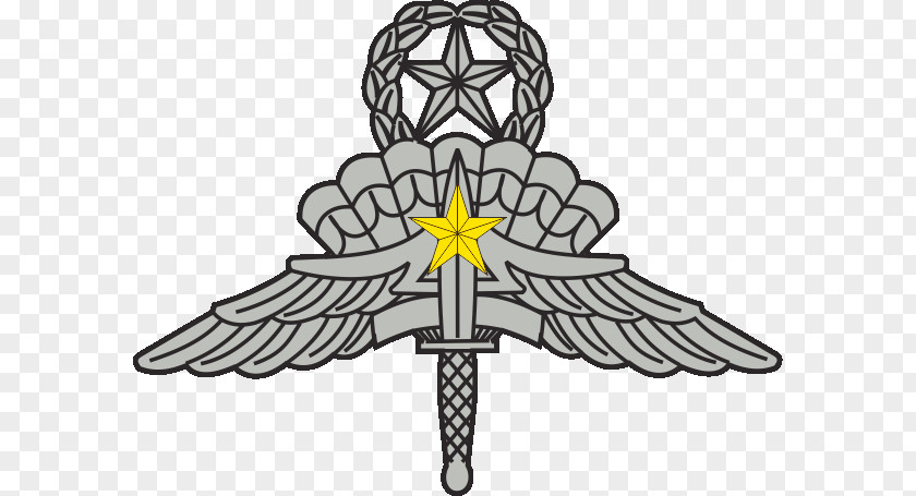 Military Freefall Parachutist Badge United States Army High-altitude Parachuting Combat Infantryman PNG