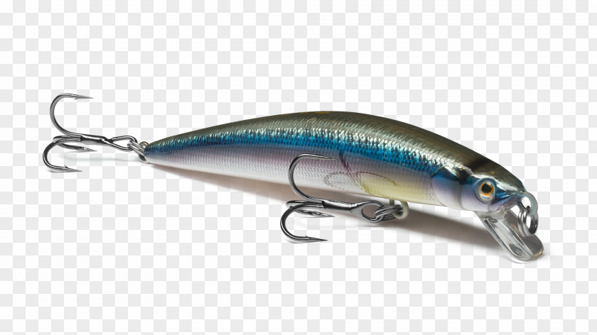 Sardine Spoon Lure Oily Fish Minnow Exempli Gratia PNG