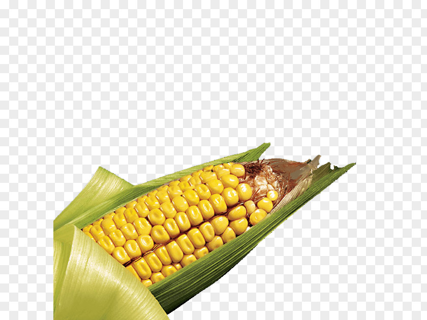 Corn On The Cob SmartStax Maize Field Kernel PNG