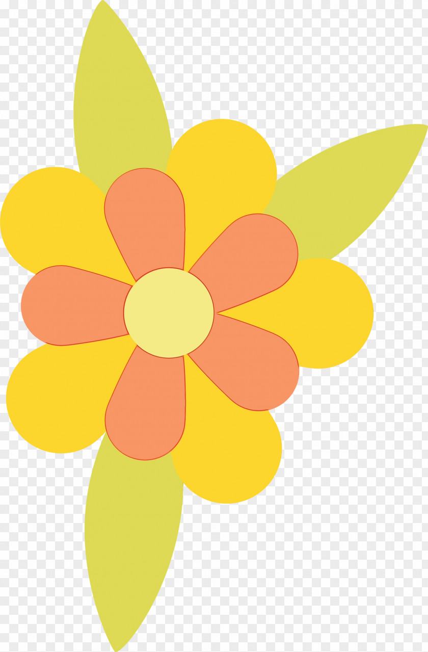 Floral Design PNG