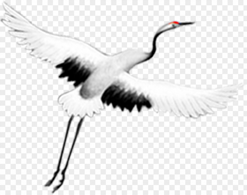Flying Crane Art Clip PNG