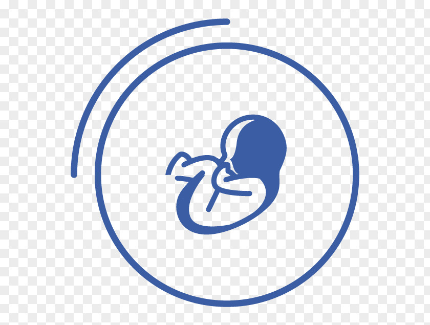 Health Medicine Obstetrics And Gynaecology PNG