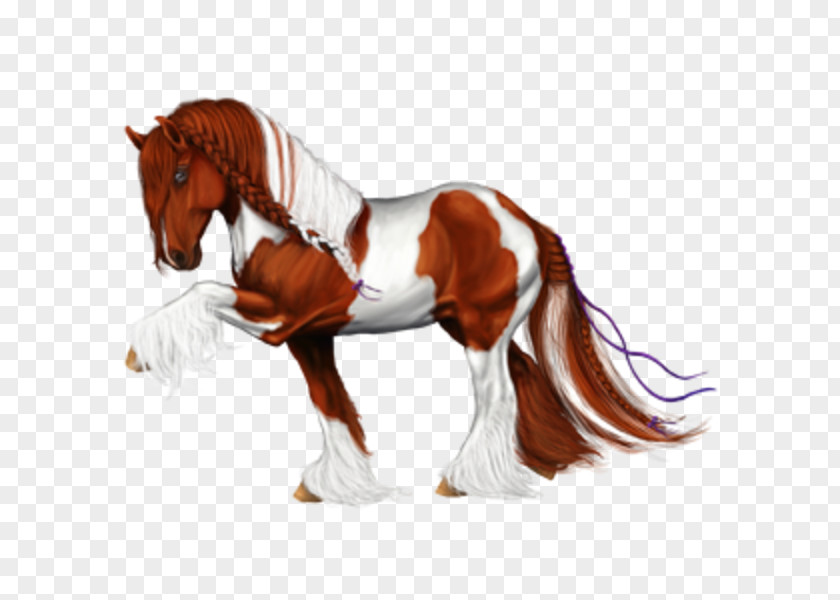 Mustang Mane Shire Horse Howrse Stallion Marwari PNG