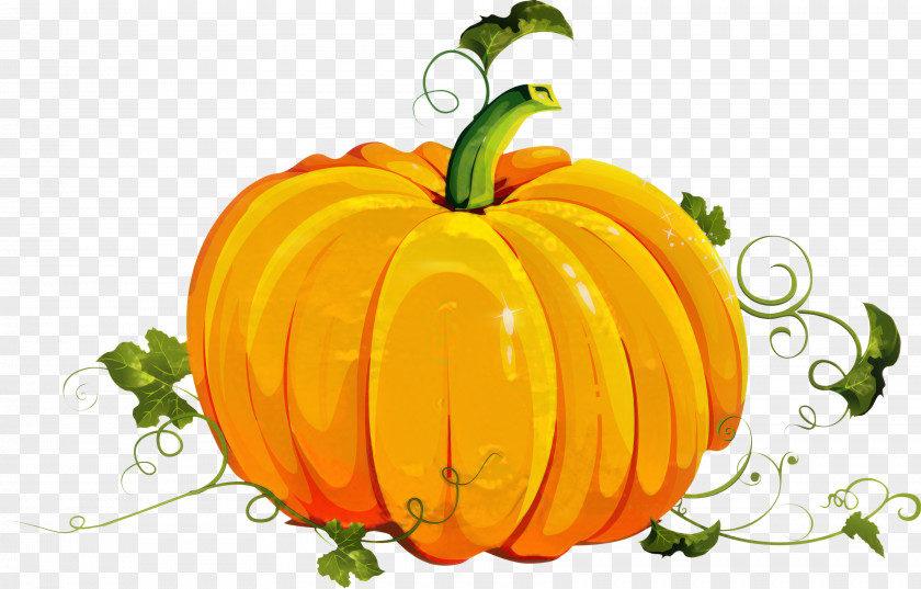 Pumpkin Vector Graphics Clip Art Image PNG