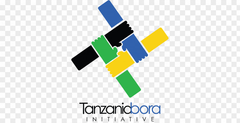 Tanzania Bora Initiative Organization LinkedIn Governance Web-Seminar PNG