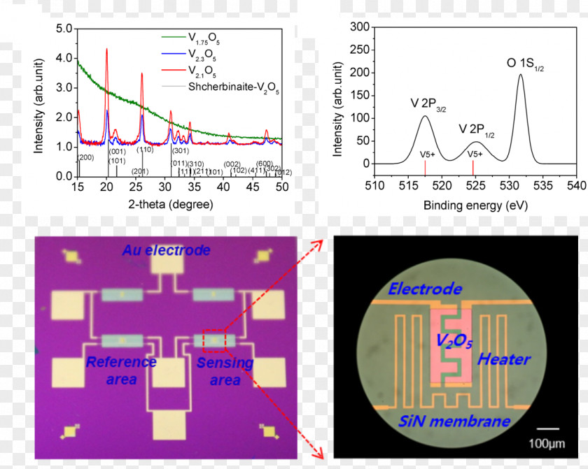 Technology Small Molecule DNA And RNA Binders: From Synthesis To Nucleic Acid Complexes Calorimeter Heckler & Koch P11 Differential Scanning Calorimetry PNG