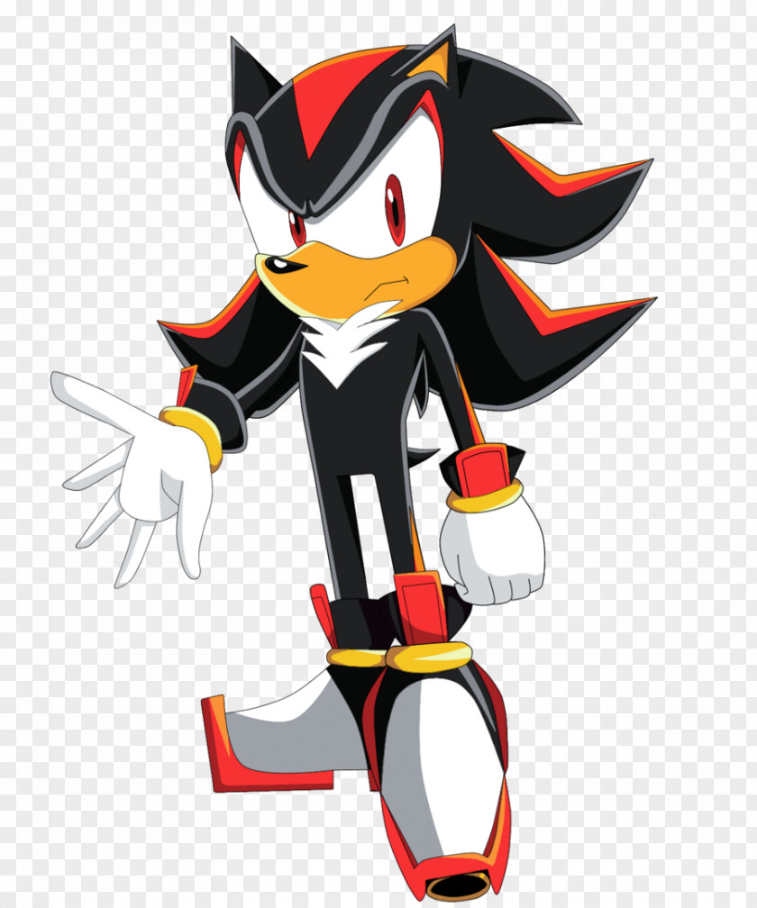 Traning Shadow The Hedgehog Amy Rose Sonic Riders 3D PNG