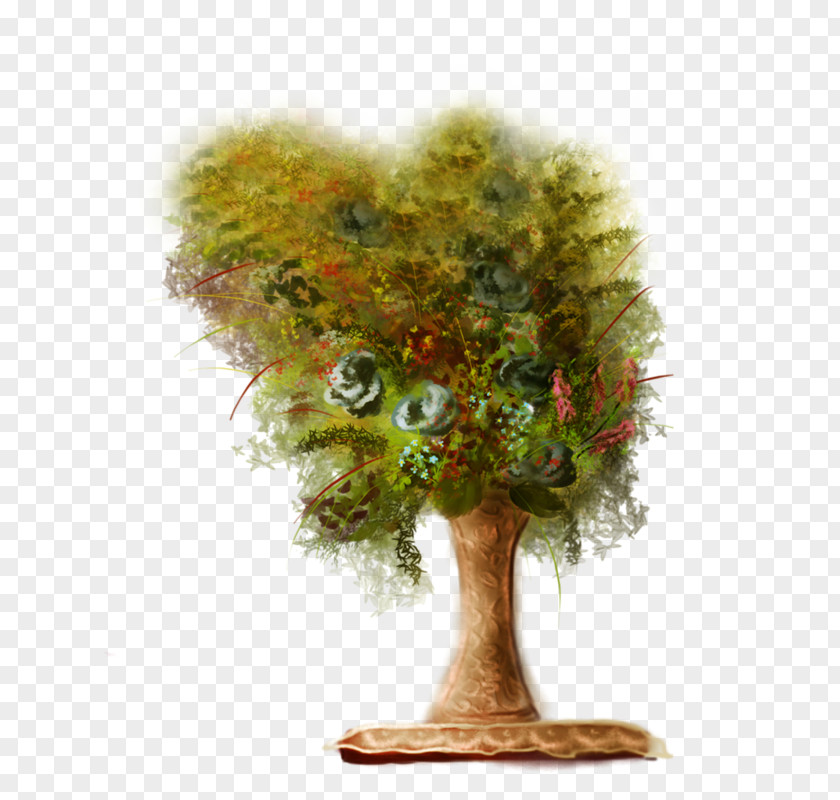 Tree Evergreen Forest Woody Plant Clip Art PNG
