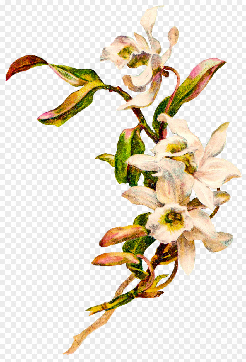 Vintage Flowers Flower Easter Clip Art PNG
