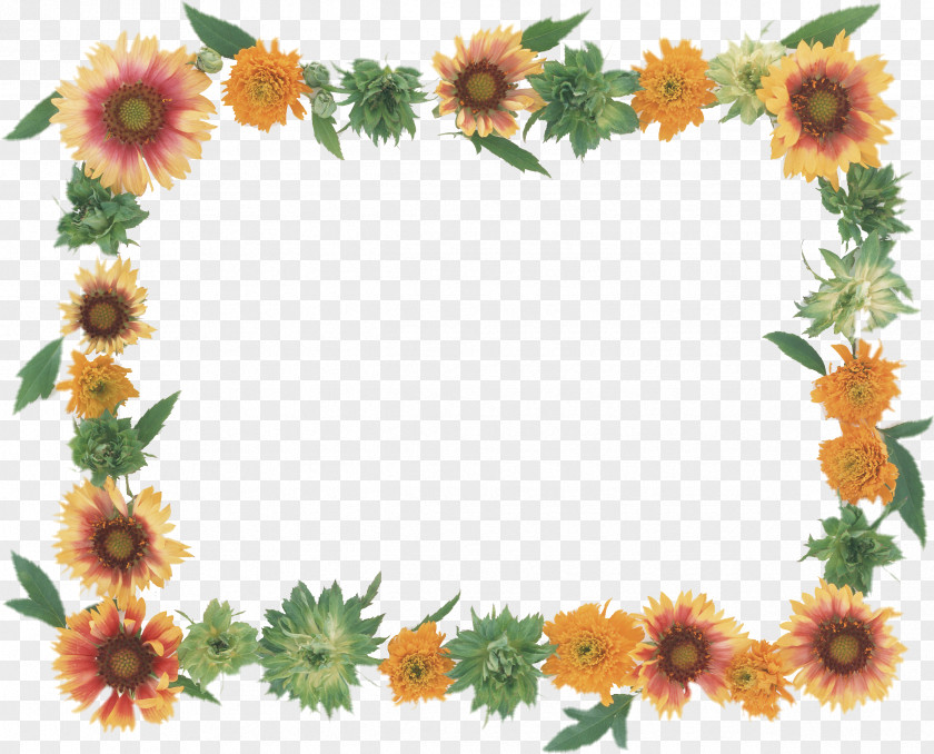 Flower Picture Frames Paper Photography Floral Design PNG