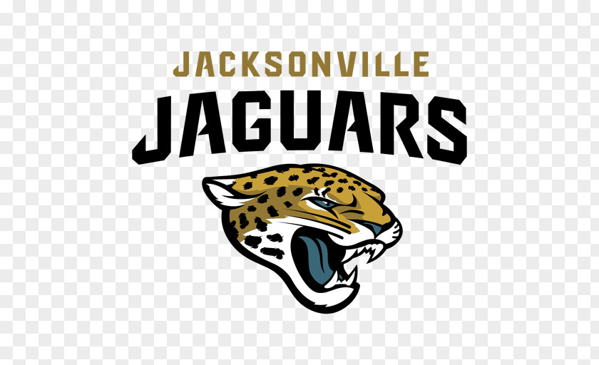 NFL 2013 Jacksonville Jaguars Season EverBank Field Miami Dolphins PNG