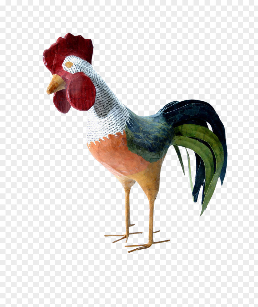 Fig Rooster Festival Beak Feather Chicken Meat PNG