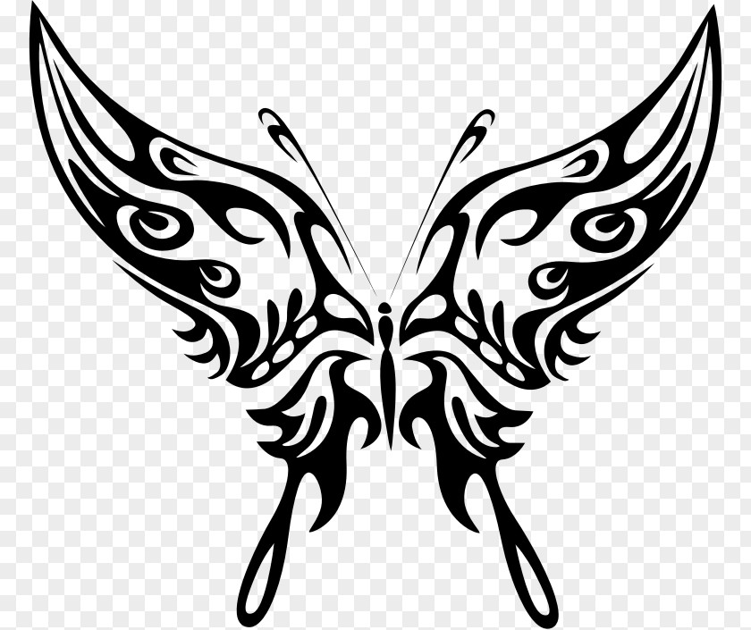 Insect Design Butterfly Line Art Clip PNG