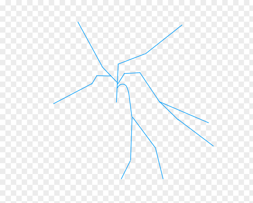 Insect Line Point Angle PNG