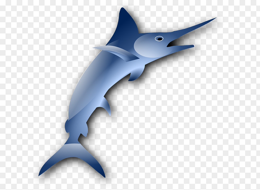 Marlin Cliparts Sailfish Download Clip Art PNG