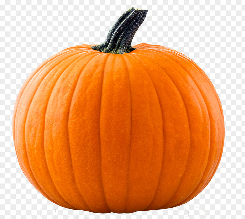 Mega Deals And Coupons Giant Pumpkin Jack-o'-lantern Halloween Pumpkins Cucurbita Maxima PNG