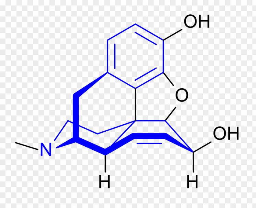 Stereoscopic Memory History DMDM Hydantoin Morphine Pharmaceutical Drug PNG