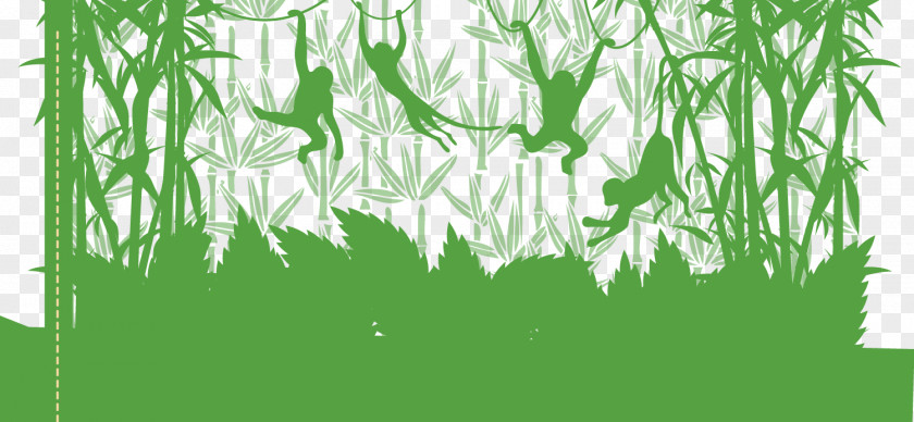 Vector Monkeys On Hand-painted Vines Monkey PNG