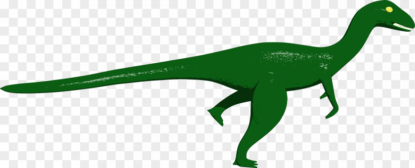 Dinosaur Tyrannosaurus Triceratops Ankylosaurus Velociraptor PNG