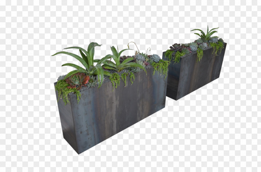 Flower Box Flowerpot Plant Tree Tatami Industry PNG