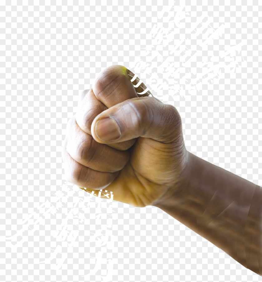 Man Fist Download PNG