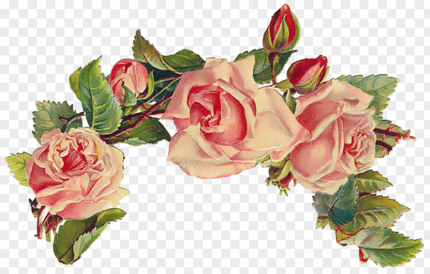 Rose Flower Paper Clip Art PNG