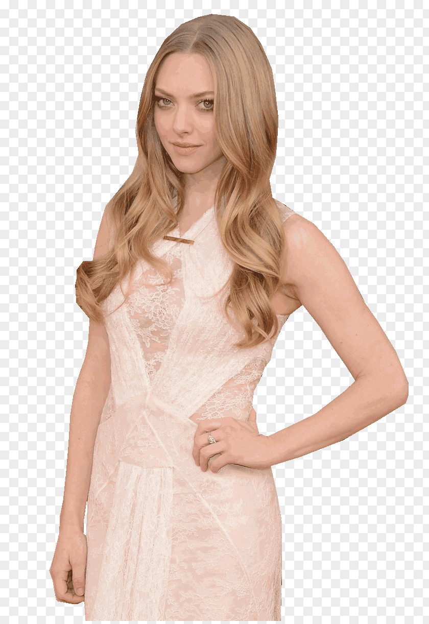 Amanda Seyfried Les Misérables Dress Model Gown PNG