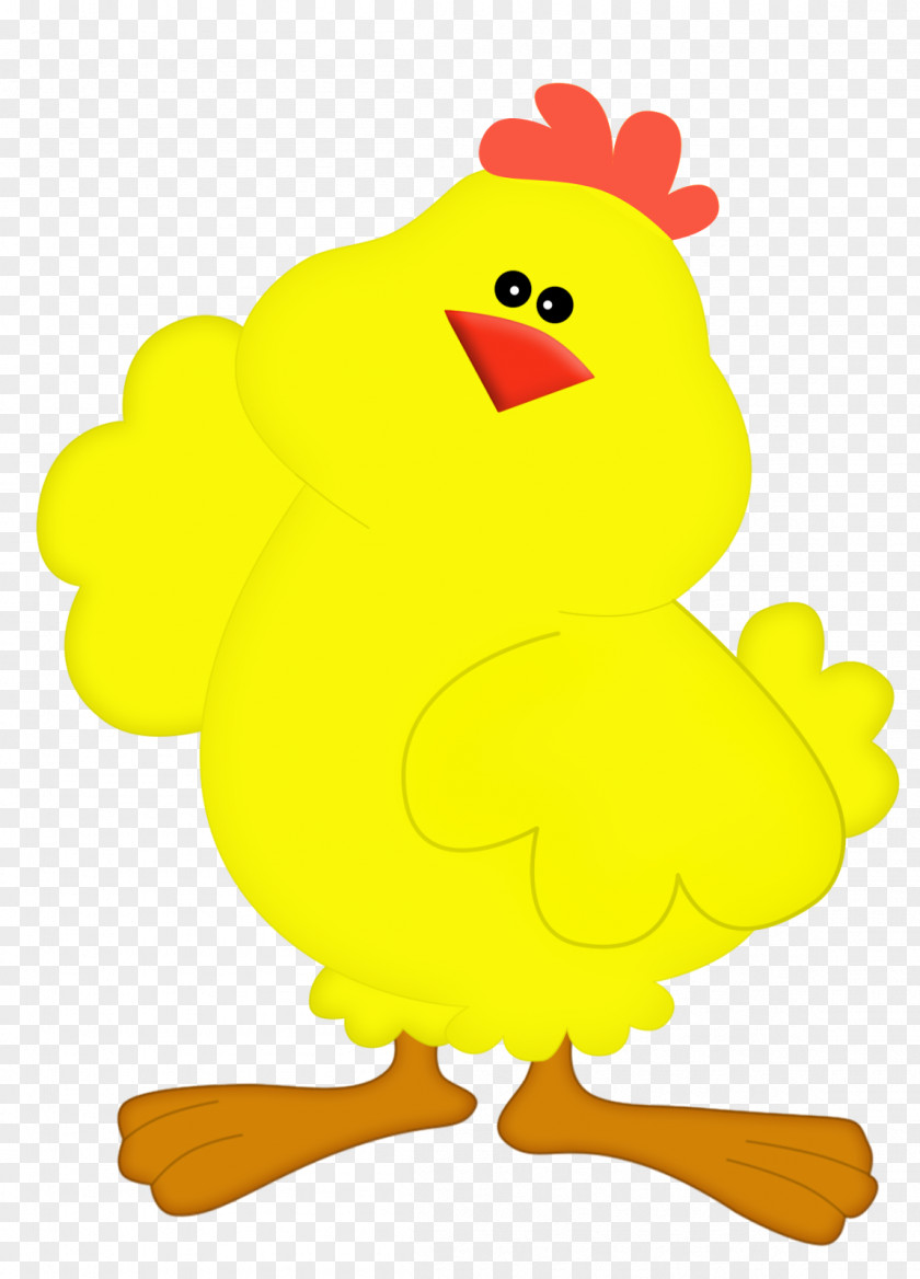 Phasianidae Livestock Chicken Cartoon PNG