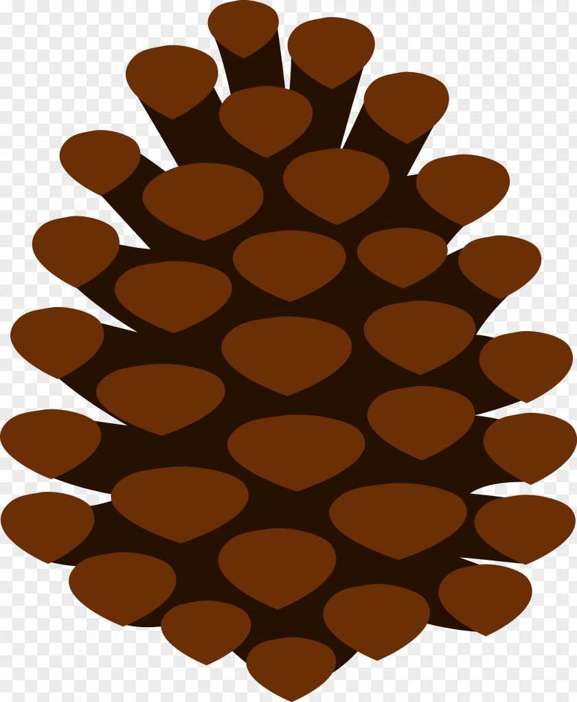 Cartoon Pine Trees Stone Conifer Cone Tree Clip Art PNG