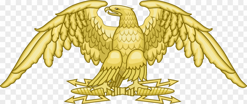 Emblem Bird Of Prey Beak Vertebrate PNG