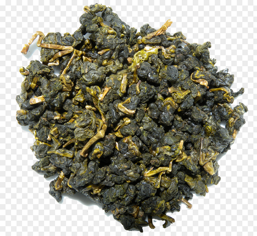 Green Tea Gunpowder Oolong Nilgiri PNG