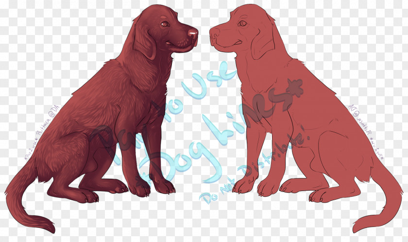 Puppy Dog Breed Sporting Group Retriever PNG