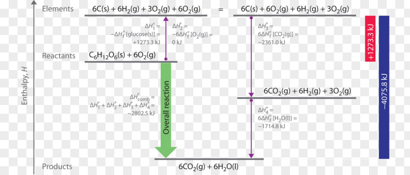 Standard Enthalpy Of Reaction Formation L'Oréal Professionnel Screenshot PNG